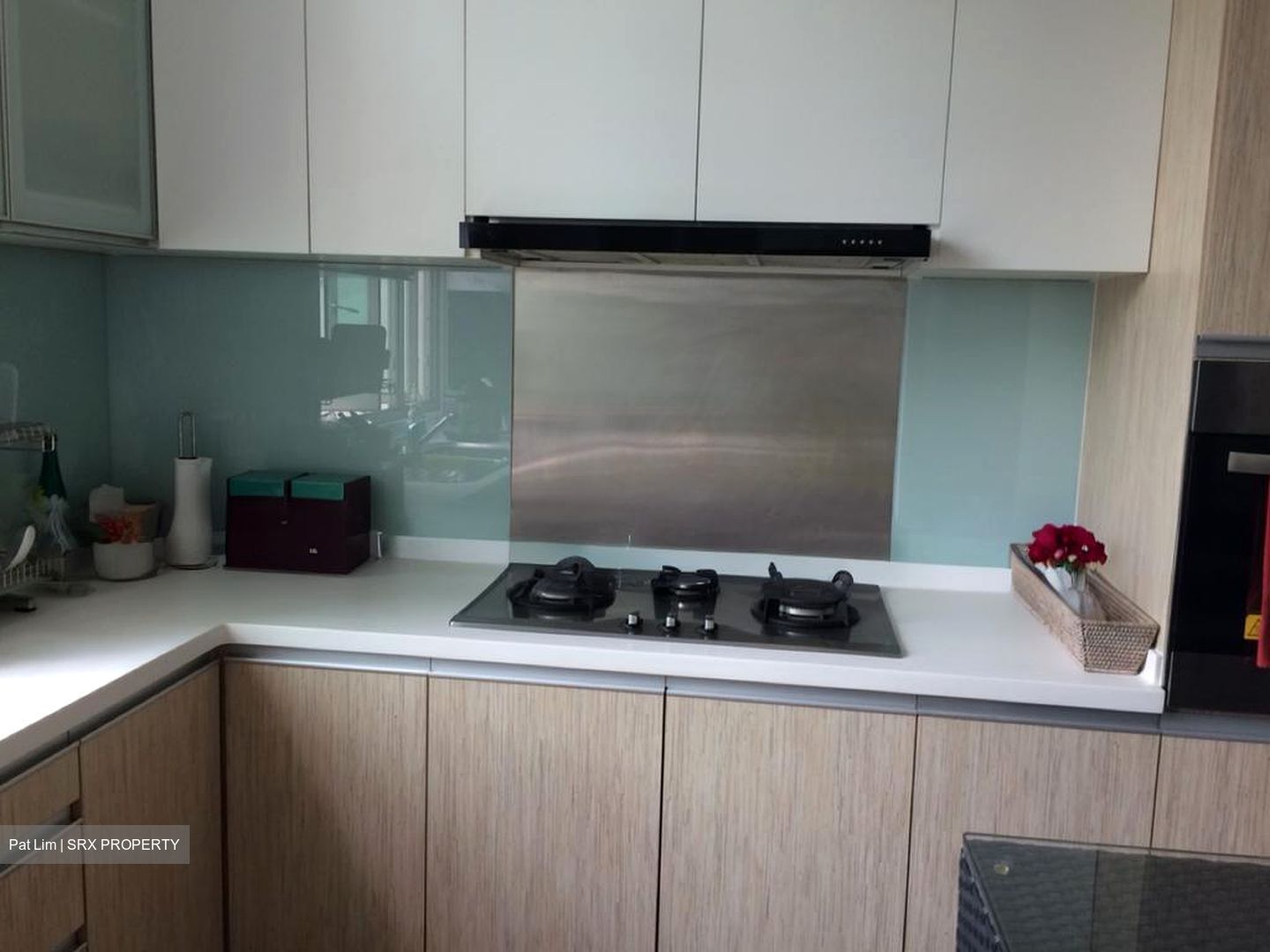 The Twins (D10), Apartment #536929901
